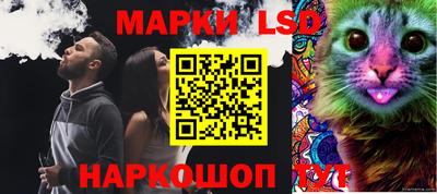 ешки Камышлов