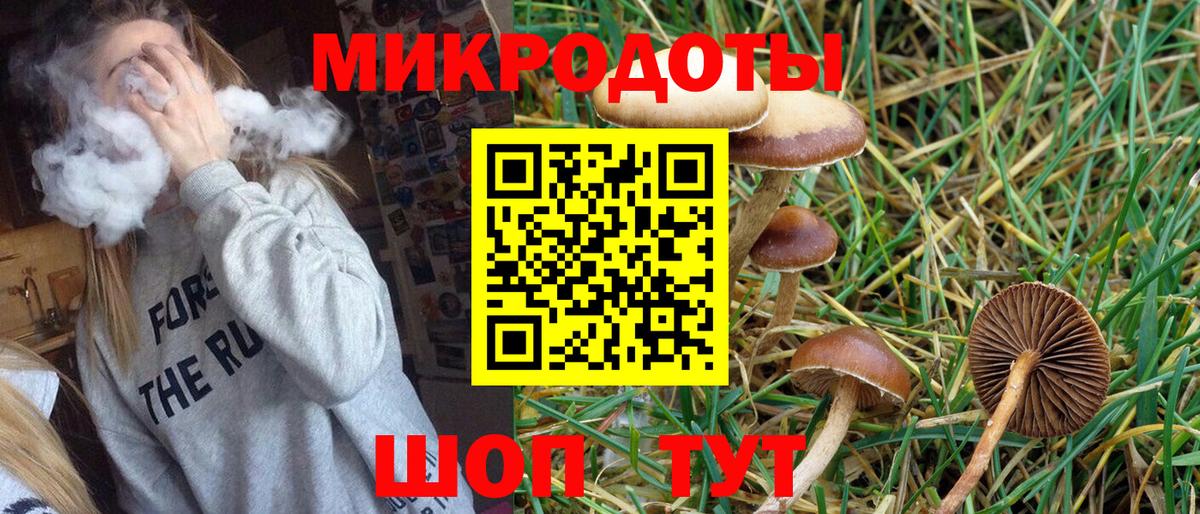 Кызыл  Псилоцибиновые грибы GOLDEN TEACHER  Вход с VPN 